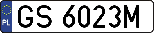 GS6023M
