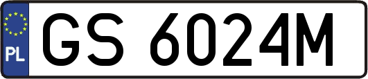 GS6024M