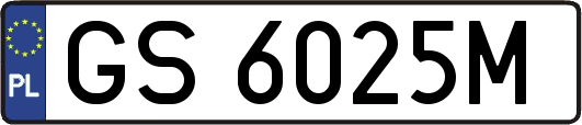 GS6025M