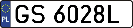 GS6028L