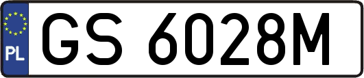 GS6028M