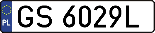GS6029L