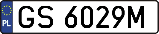 GS6029M