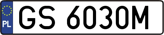 GS6030M