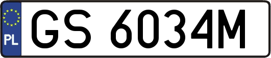 GS6034M