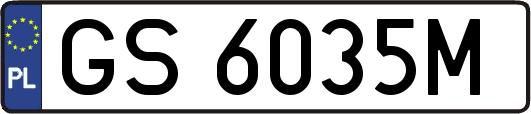 GS6035M