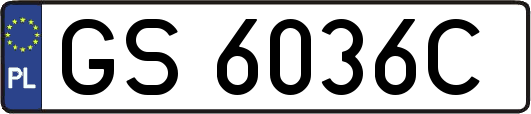GS6036C