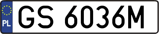 GS6036M