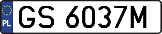 GS6037M