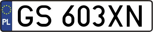 GS603XN