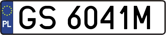 GS6041M