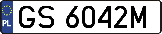 GS6042M