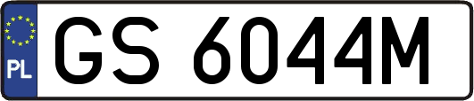 GS6044M