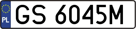 GS6045M