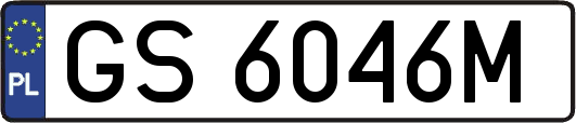 GS6046M