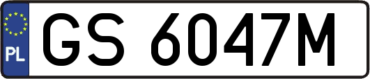 GS6047M