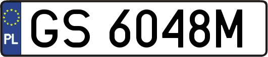 GS6048M