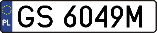 GS6049M