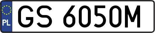 GS6050M