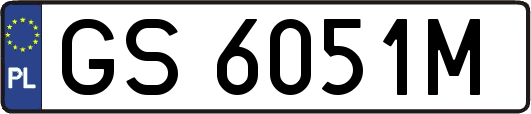 GS6051M