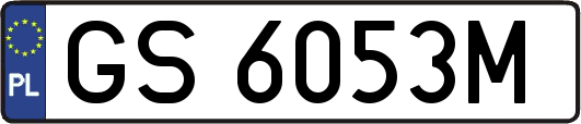 GS6053M