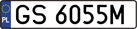 GS6055M