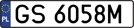 GS6058M