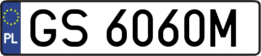 GS6060M