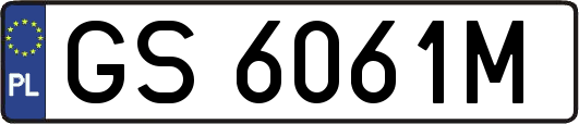 GS6061M