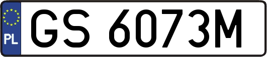 GS6073M