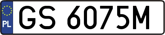 GS6075M