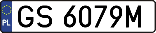GS6079M