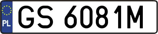 GS6081M