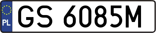 GS6085M