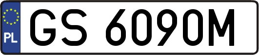 GS6090M