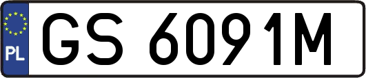 GS6091M
