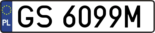 GS6099M