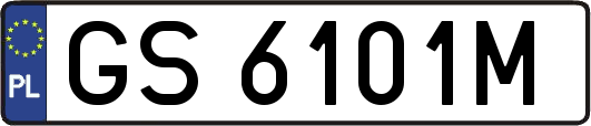 GS6101M