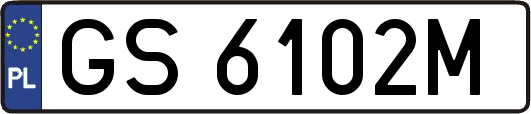 GS6102M