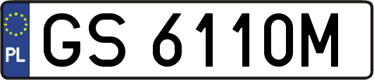 GS6110M