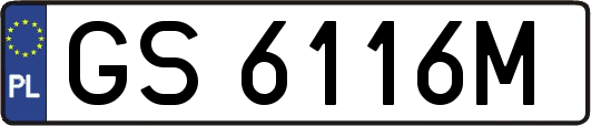 GS6116M