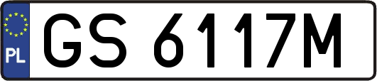 GS6117M