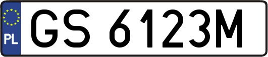 GS6123M