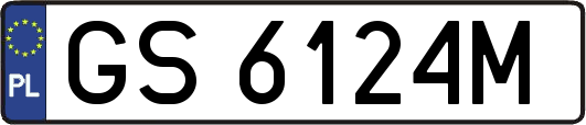 GS6124M