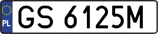 GS6125M