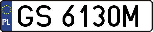 GS6130M
