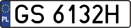 GS6132H