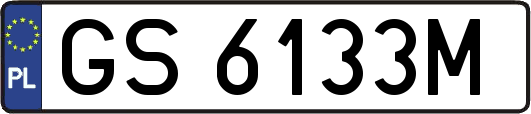 GS6133M