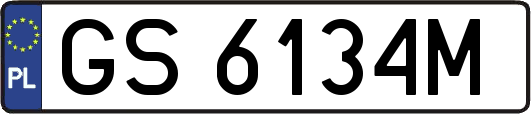 GS6134M
