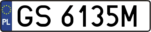 GS6135M